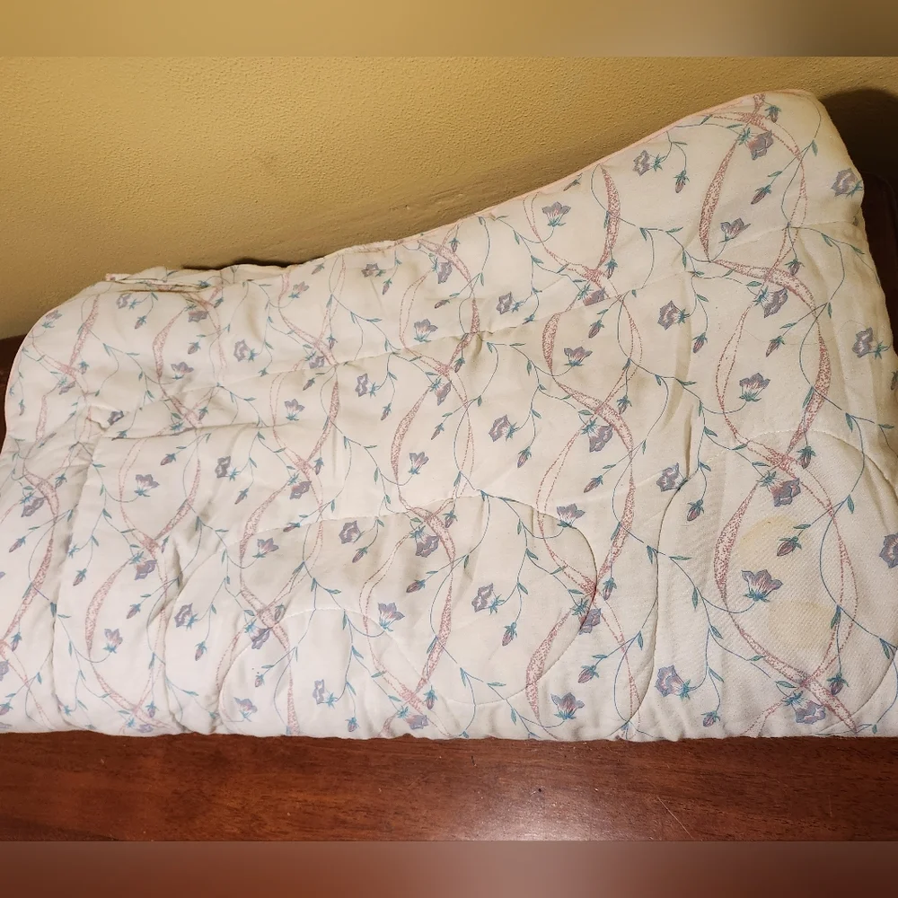 Vintage 3 Piece Floral Print Comforter & Pillowcases by Dan River
